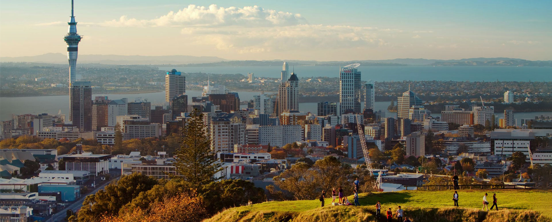 auckland engineering job